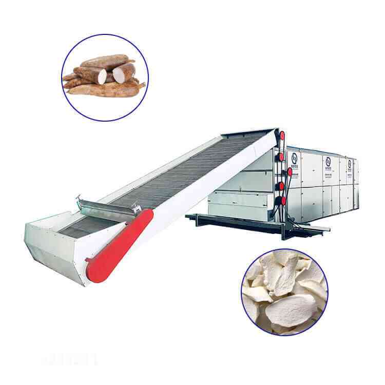 cassava continuous mesh belt dryer